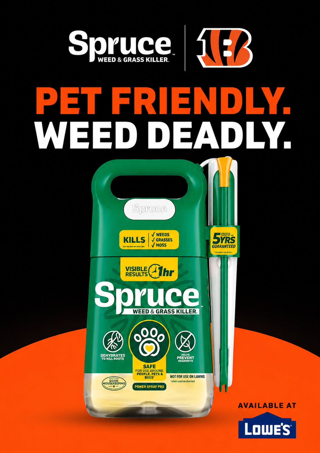 Spruce Bengals Ad